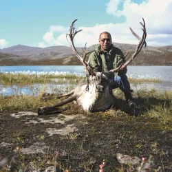 Arctic Wildlife Observation - Niaqornaarsuk