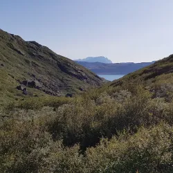 Hiking and Nature Trails - Niaqornaarsuk