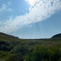 Hiking and Nature Trails - Niaqornaarsuk