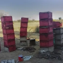 Local Greenlandic Village Experience - Niaqornaarsuk