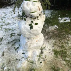 Local Greenlandic Village Experience - Niaqornaarsuk