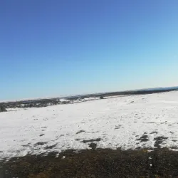 Northern Lights Viewing - Niaqornaarsuk