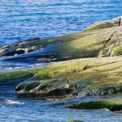 Hans Egede Statue - Nuuk