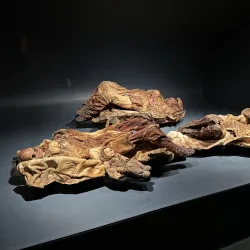 National Museum of Greenland - Nuuk