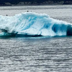 Old Nuuk (Kolonihavnen) - Nuuk