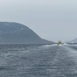 Qooqqut Nuan Nature Reserve - Nuuk