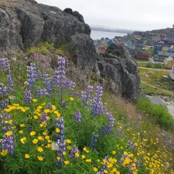 Hiking Trails Around Qaqortoq - Qaqortoq