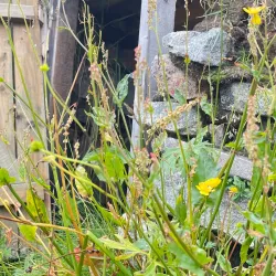 Qaqortoq Art Museum - Qaqortoq