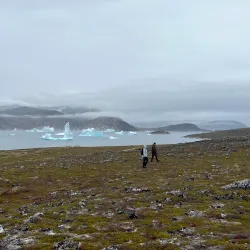 Uunartoq Hot Springs - Qaqortoq