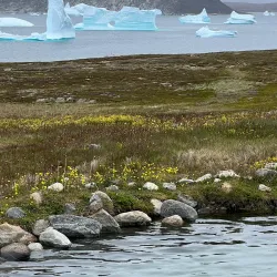 Uunartoq Hot Springs - Qaqortoq