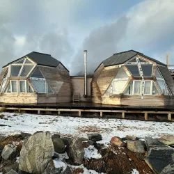 Arctic Wildlife Watching - Qeqertarsuaq (Godhavn)