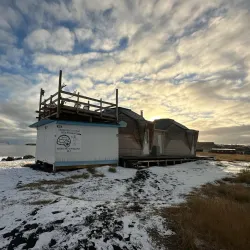 Arctic Wildlife Watching - Qeqertarsuaq (Godhavn)