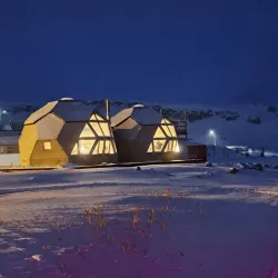 Arctic Wildlife Watching - Qeqertarsuaq (Godhavn)