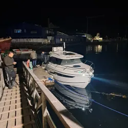 Arctic Wildlife Watching - Qeqertarsuaq (Godhavn)