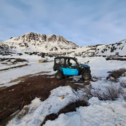 Arctic Wildlife Watching - Qeqertarsuaq (Godhavn)