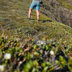 Hiking Trails around Qeqertarsuaq - Qeqertarsuaq (Godhavn)