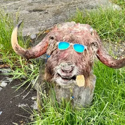 Local Greenlandic Culture and Handicrafts - Qeqertarsuaq (Godhavn)