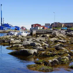 Qeqertarsuaq Museum - Qeqertarsuaq (Godhavn)