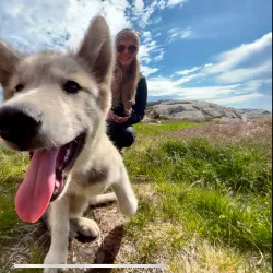 Arctic Tundra Hiking - Siorapaluk