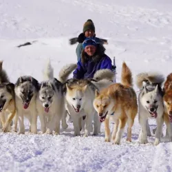 Kayaking and Boat Tours - Siorapaluk