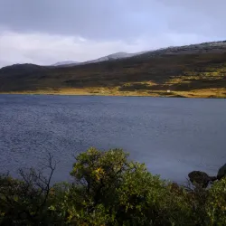 Local Cuisine Experiences - Siorapaluk