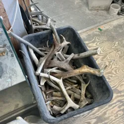 Traditional Inuit Craft Workshops - Siorapaluk