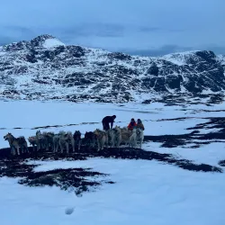 Dog Sledding Tours - Sisimiut
