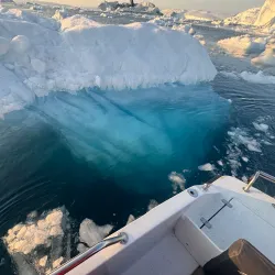 Whale Watching Excursions - Sisimiut