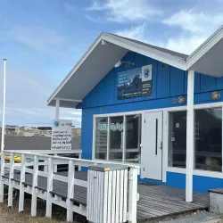 Whale Watching Excursions - Sisimiut