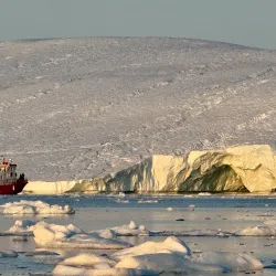 Whale Watching Excursions - Sisimiut