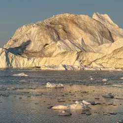 Whale Watching Excursions - Sisimiut