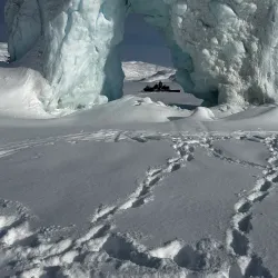 Dog Sledding Tours - Tasiilaq (Ammassalik)