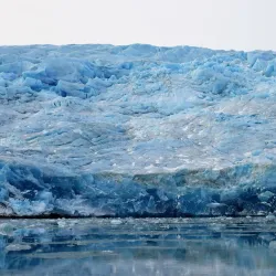 Dog Sledding Tours - Tasiilaq (Ammassalik)