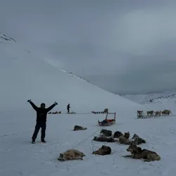 Dog Sledding Tours - Tasiilaq (Ammassalik)