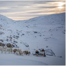 Dog Sledding Tours - Tasiilaq (Ammassalik)
