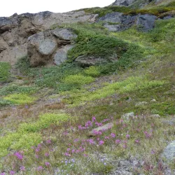 Hiking to Ammassalik Island Peaks - Tasiilaq (Ammassalik)