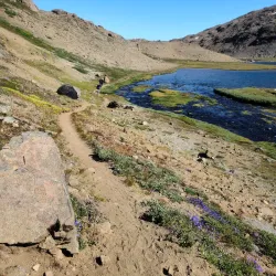 Hiking to Ammassalik Island Peaks - Tasiilaq (Ammassalik)