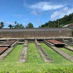 Belmont Estate - Carriacou