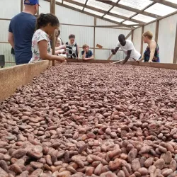 Belmont Estate - Carriacou