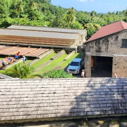 Belmont Estate - Carriacou