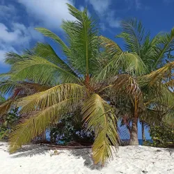 Sandy Island - Carriacou