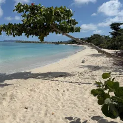 Windward Beach - Carriacou