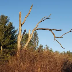 Grenville Heritage Trail - Grenville