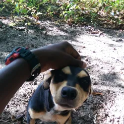 Saint Davids Anglican Church - Saint Davids