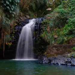 Annandale Falls - Saint George's