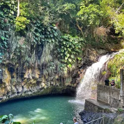 Annandale Falls - Saint George's
