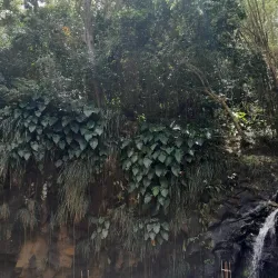 Annandale Falls - Saint George's