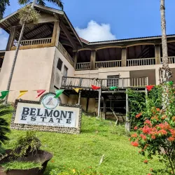 Belmont Estate - Saint George's