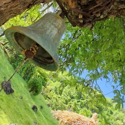 Belmont Estate - Saint George's