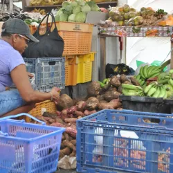 Market Square - Saint George's